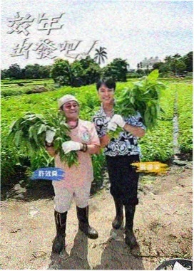 睡衣派对